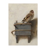 Postkarte, Carel Fabritius, Der Stieglitz