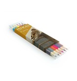 Colouring Pencil Flat Pack, Carel Fabritius, Goldfinch