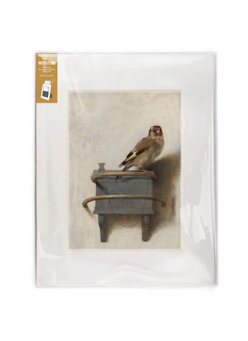 Matted print with reproduction, XL,  Goldfinch, Carel Fabritius