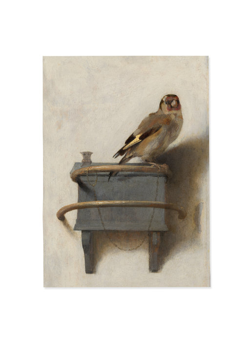 Affiche 50x70 cm , Le Chardonneret, Carel Fabritius