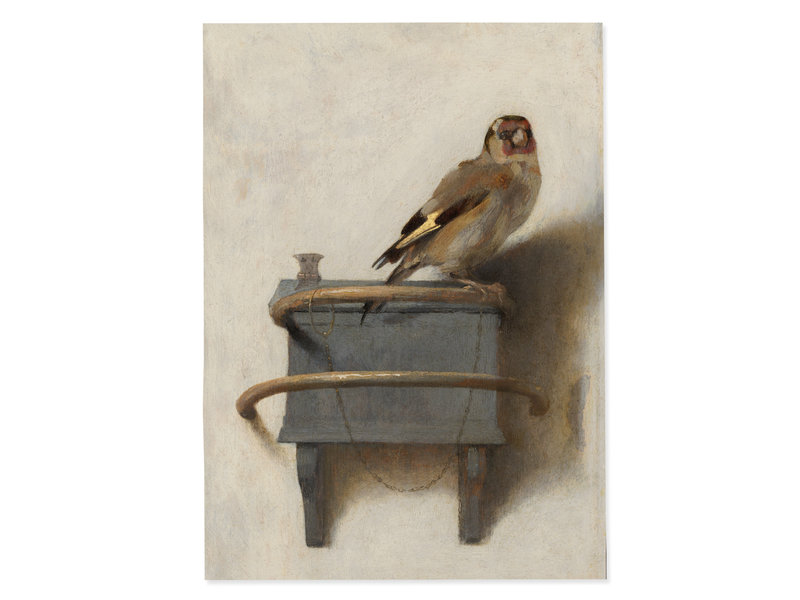 Poster 50x70 cm, Der Stieglitz, Carel Fabritius