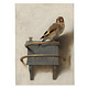Poster 50x70 cm, Goldfinch, Carel Fabritius