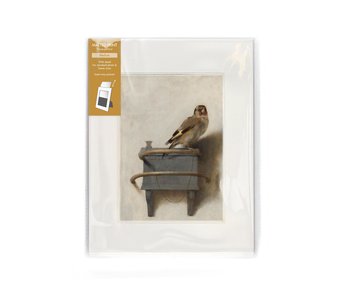 Matted prints with reproduction, M, Goldfinch, Carel Fabritius
