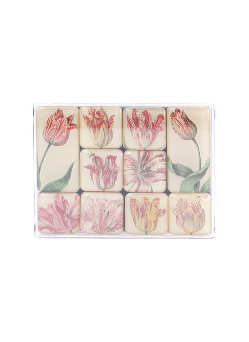 Mini Magnet Set, Tulips, Marrel