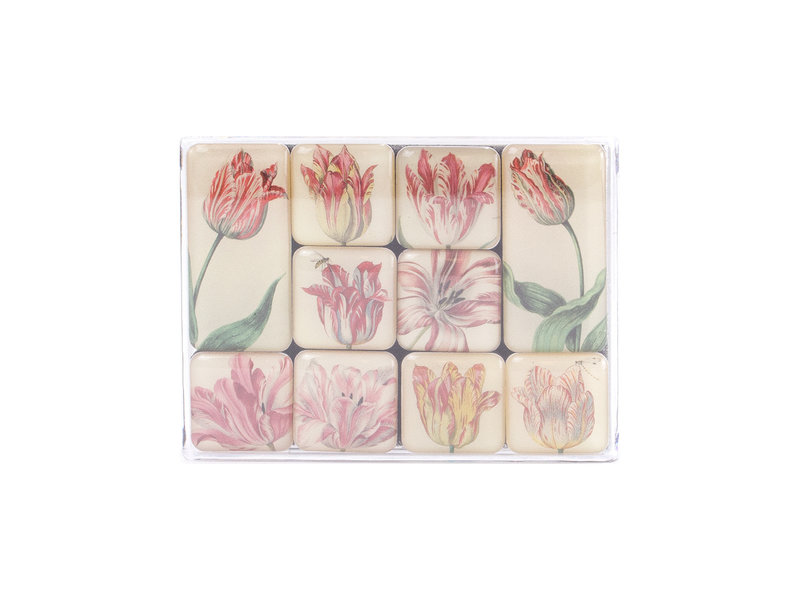 Mini Magnet Set, Tulips