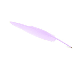 Schreibfeder, Lavendel