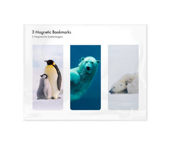 Set of 3, Magnetic bookmark, Arctic