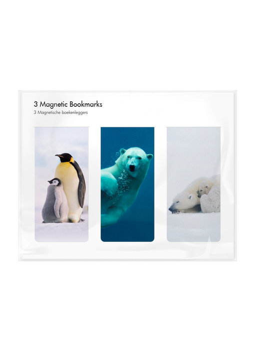 Set of 3, Magnetic bookmark, Arctic