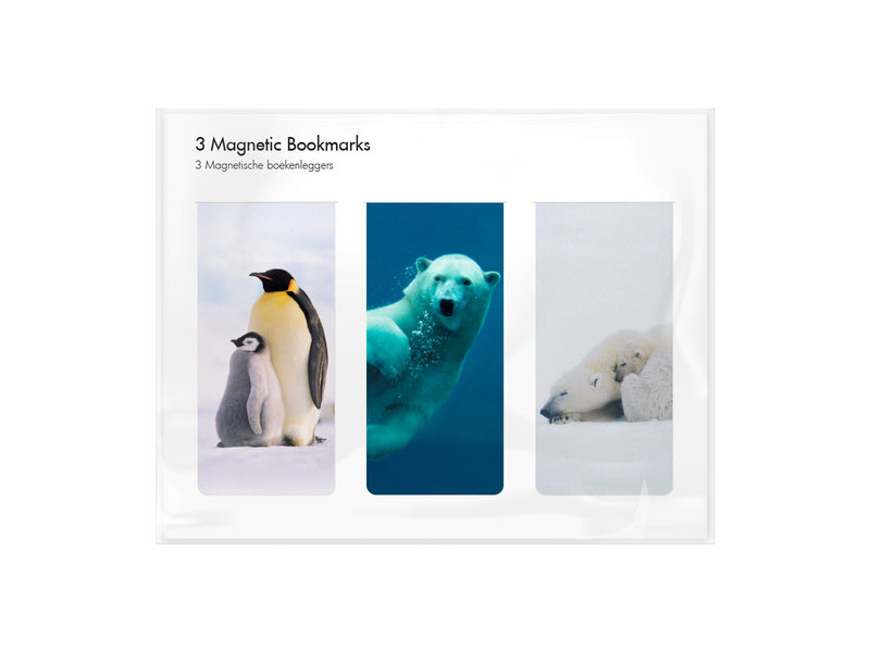 Lot de 3, signets magnétiques, Arctique