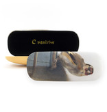 Spectacle Box , Goldfinch, Carel Fabritius