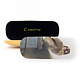 Spectacle Case, Goldfinch, Carel Fabritius