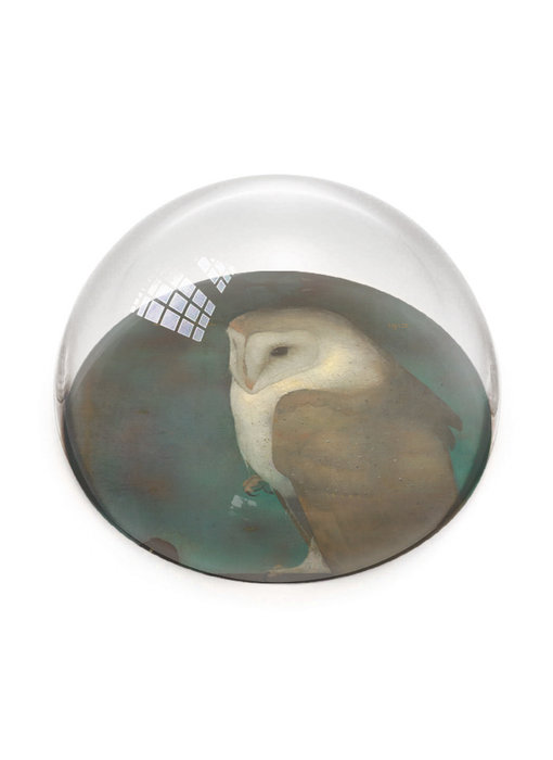 Glass Dome,   Jan Mankes, Owl