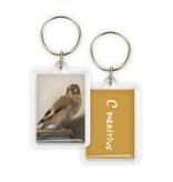 Keyring, Goldfinch, Carel Fabritius