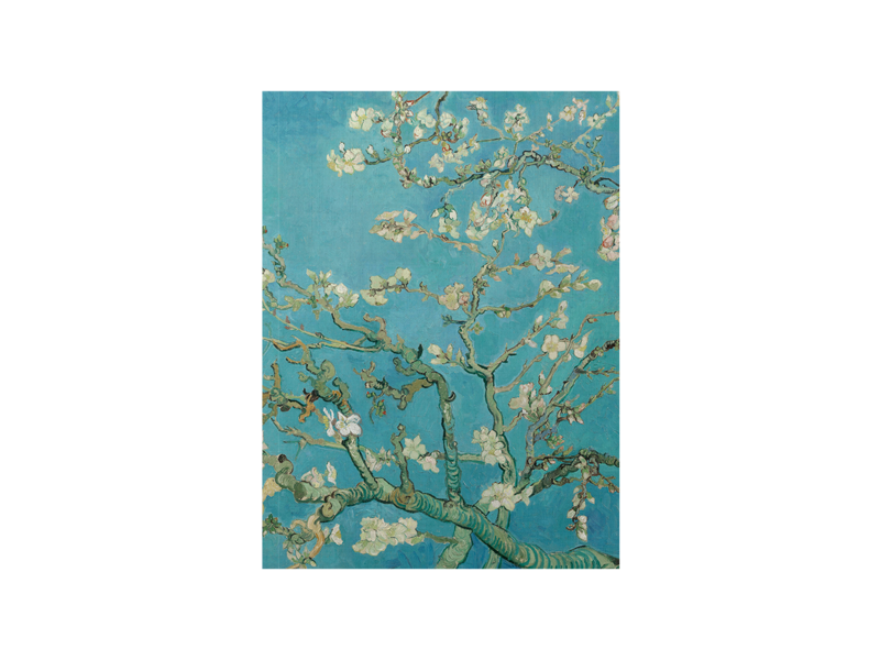 Künstlerjournal, Vincent van Gogh, Mandelblüte