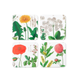 Dessous de verre, lot de 4, Hortus Botanicus