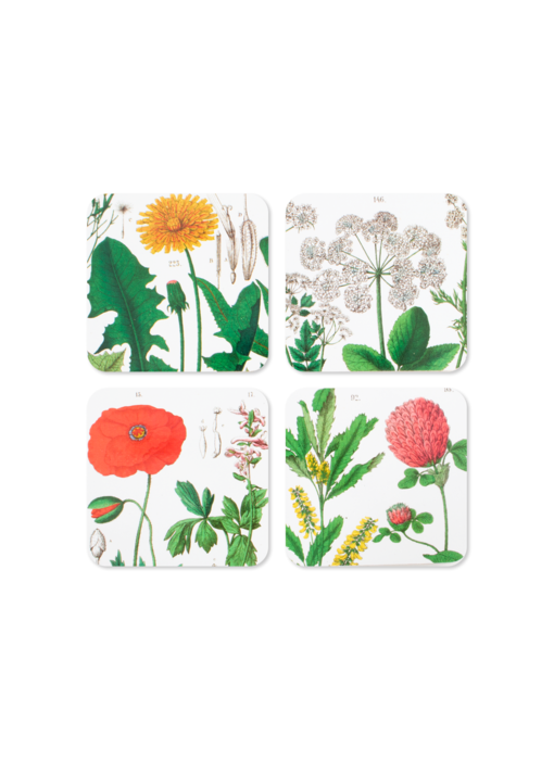 Dessous de verre, lot de 4, Hortus Botanicus