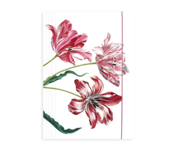 Carpeta portadocumentos con banda elástica, Merian, tres tulipanes