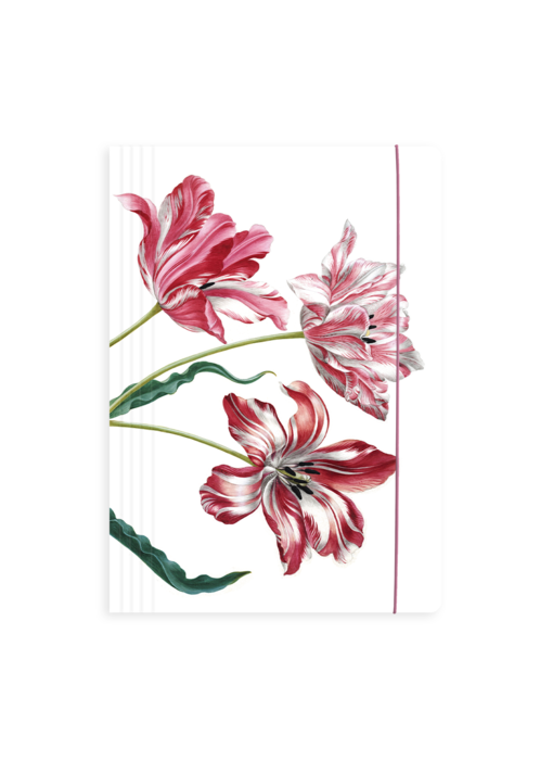 Carpeta portadocumentos con banda elástica, Merian, tres tulipanes