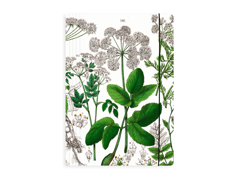 Portfolio elas.closure A4 , Elder Leaf, Hortus Botanicus