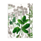 Dokumentenmappe mit Gummiband,Holunderblatt, Hortus Botanicus
