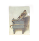 File Sheet W, Fabritius, The Goldfinch