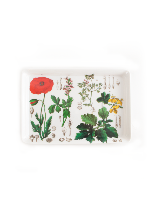 Mini dienblad , 21 x 14 cm, Klaproos, Hortus Botanicus