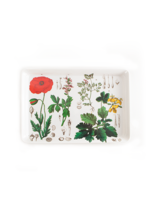 Mini Tablett, 21 x 14 cm, Mohn, Hortus Botanicus