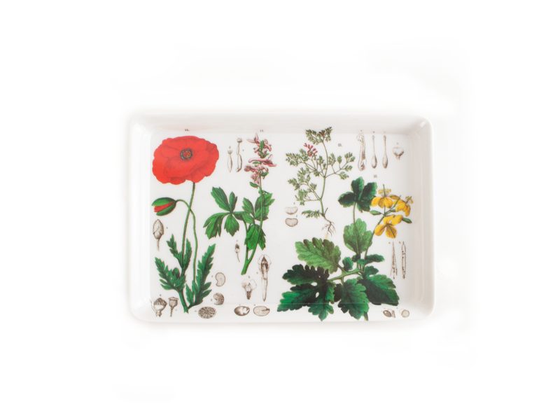 Plateau de service, Mini, Coquelicot, Hortus Botanicus