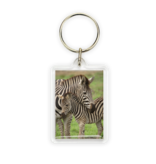 Keyring, Zebra