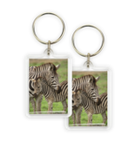 Keyring, Zebra