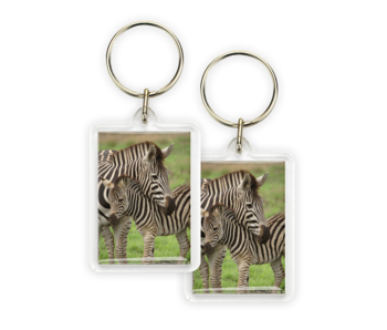 Porte-clés, Zebra