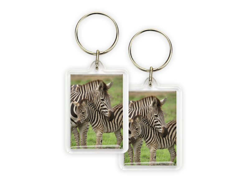 Keyring, Zebra