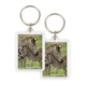 Porte-clés, Zebra