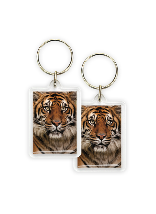 Keyring, Tiger Head