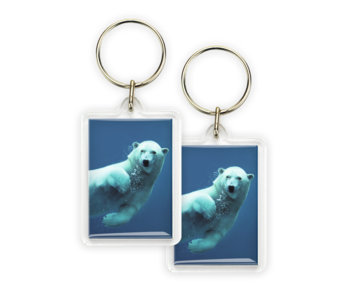 Keyring, Polar Bear