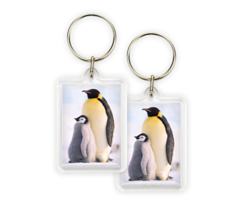 Keyring, Penguins