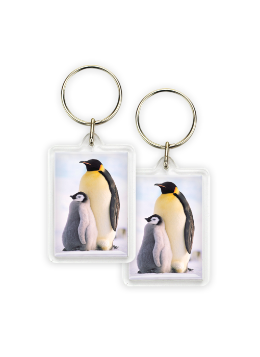 Keyring, Penguins