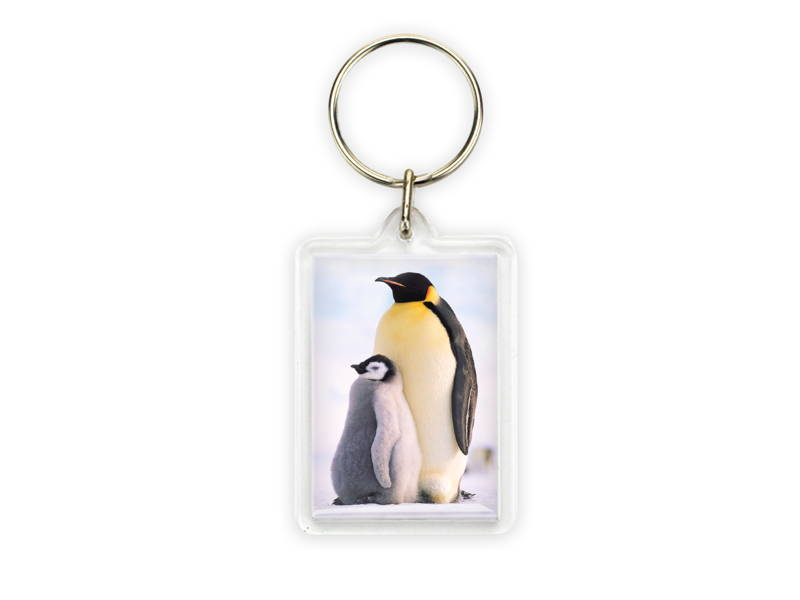 Schlüsselbund, Pinguine