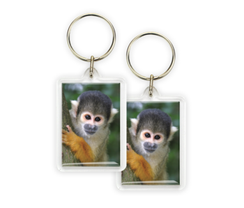 Keyring, Nosy Squirrel Monkey