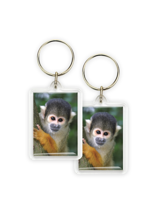 Keyring, Nosy Squirrel Monkey