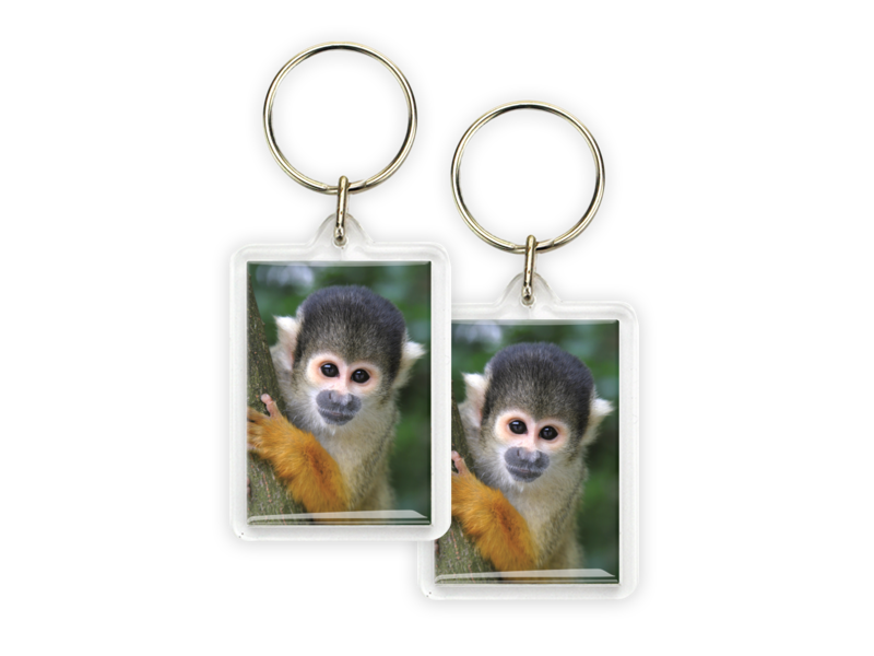 Porte-clés, singe écureuil