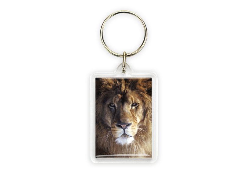 Keyring, Lion Head