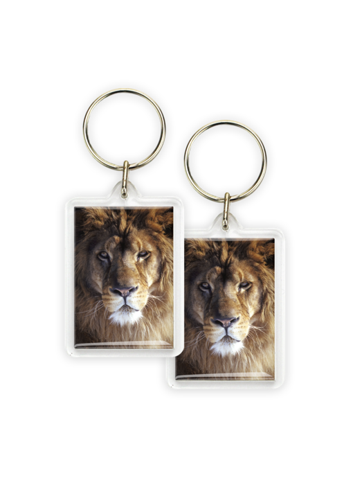 Porte-clés, tête de lion