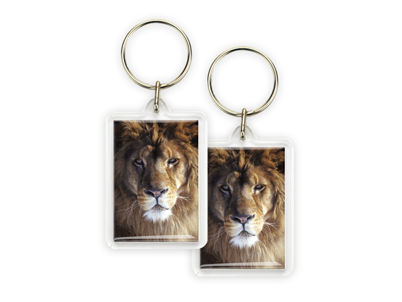 Keyring, Lion Head