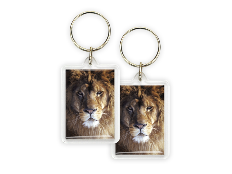 Porte-clés, tête de lion