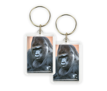 Keyring, Gorilla