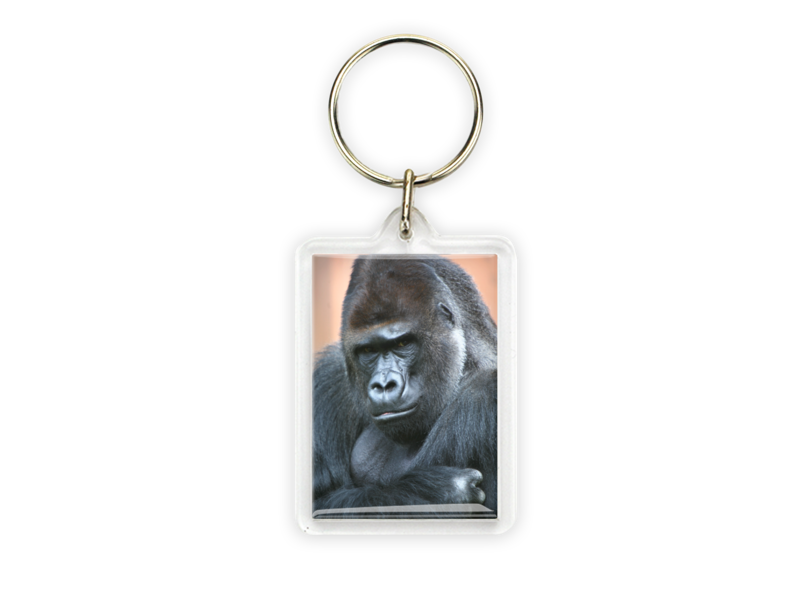 Schlüsselbund, Gorilla