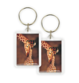 Keyring, Giraffe