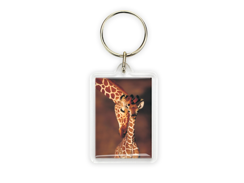 Keyring, Giraffe