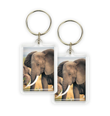 Keyring, Elephant